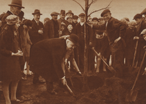 300348 Afbeelding van burgemeester dr. J.P. Fockema Andreae die de schoolkinderen helpt bij het planten van een boom ...
